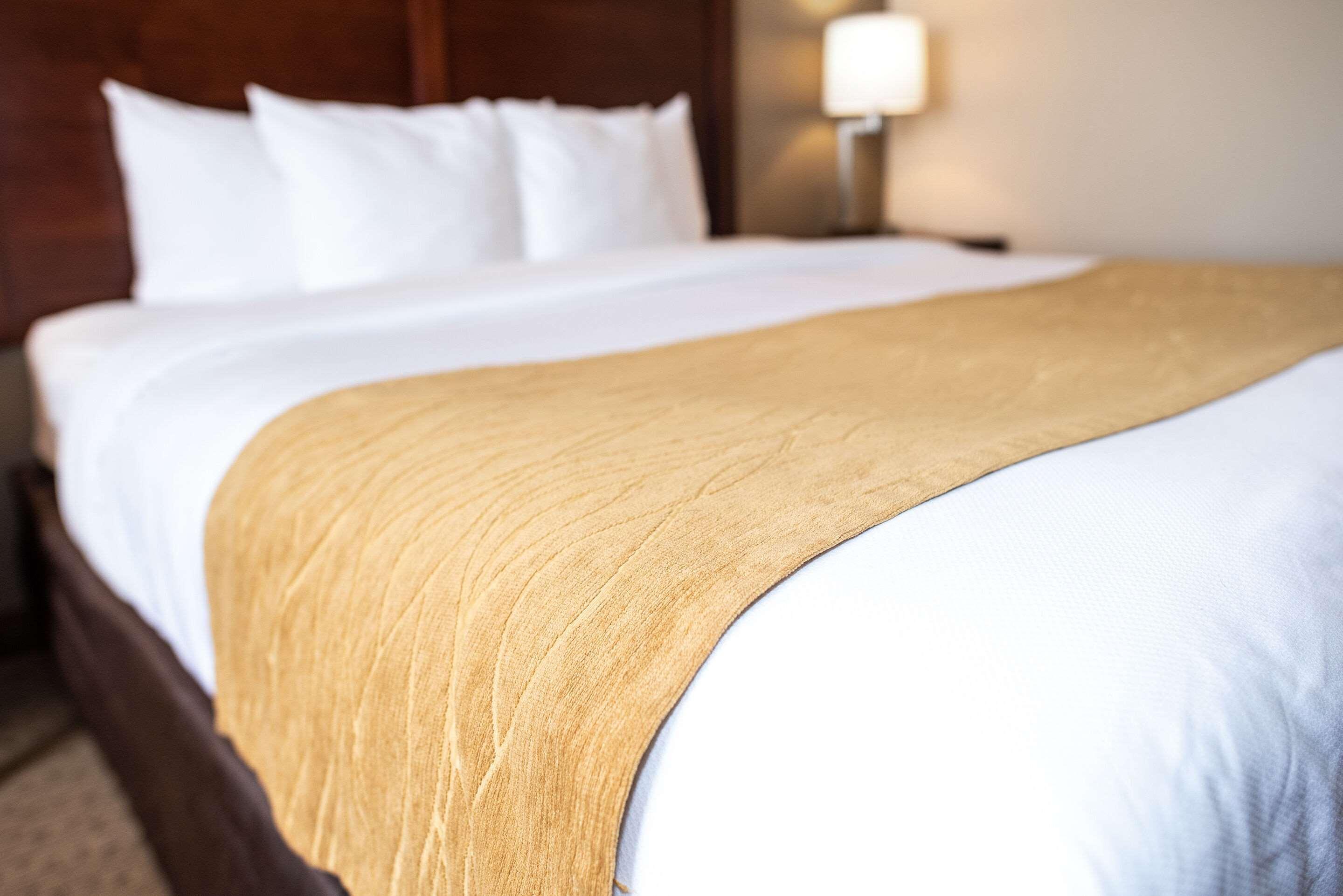 Comfort Inn & Suites Custer Bagian luar foto